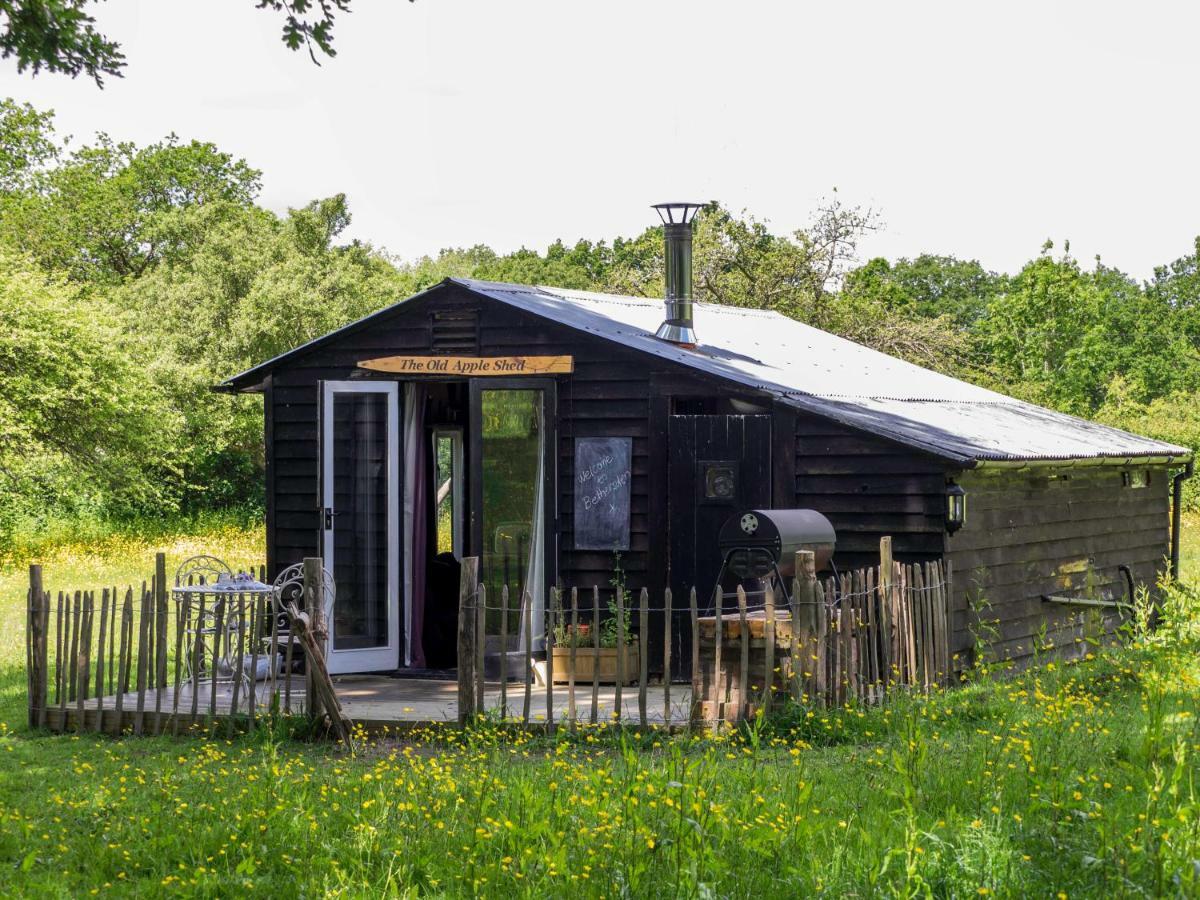 The Old Apple Shed Cosy Heated Cottage In A Meadow Close To The Charming Village Of Bethersden Ashford  Eksteriør bilde